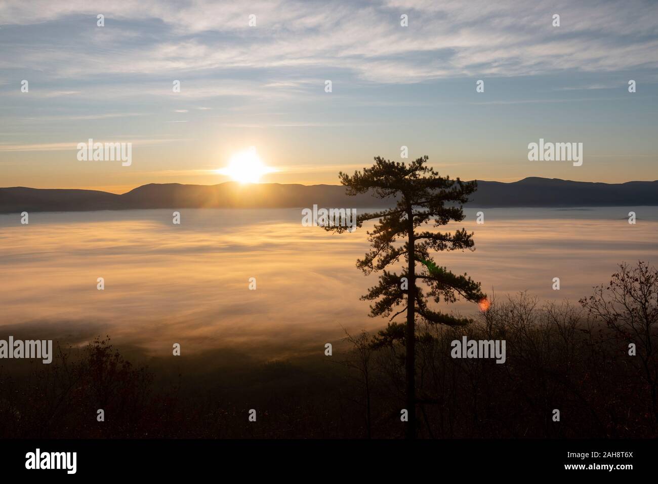 Stati Uniti Virginia VA Luray Fiume Shenandoah Valley terra della nebbia copre la valle della contea di pagina sunrise Foto Stock