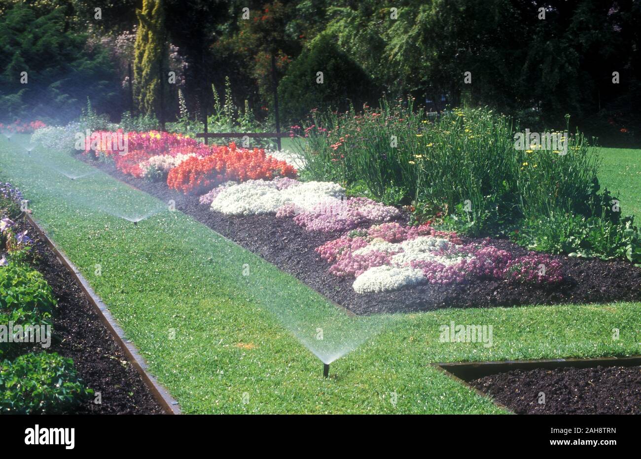 Sistema di irrigazione automatica acque letti giardino e prato Foto Stock
