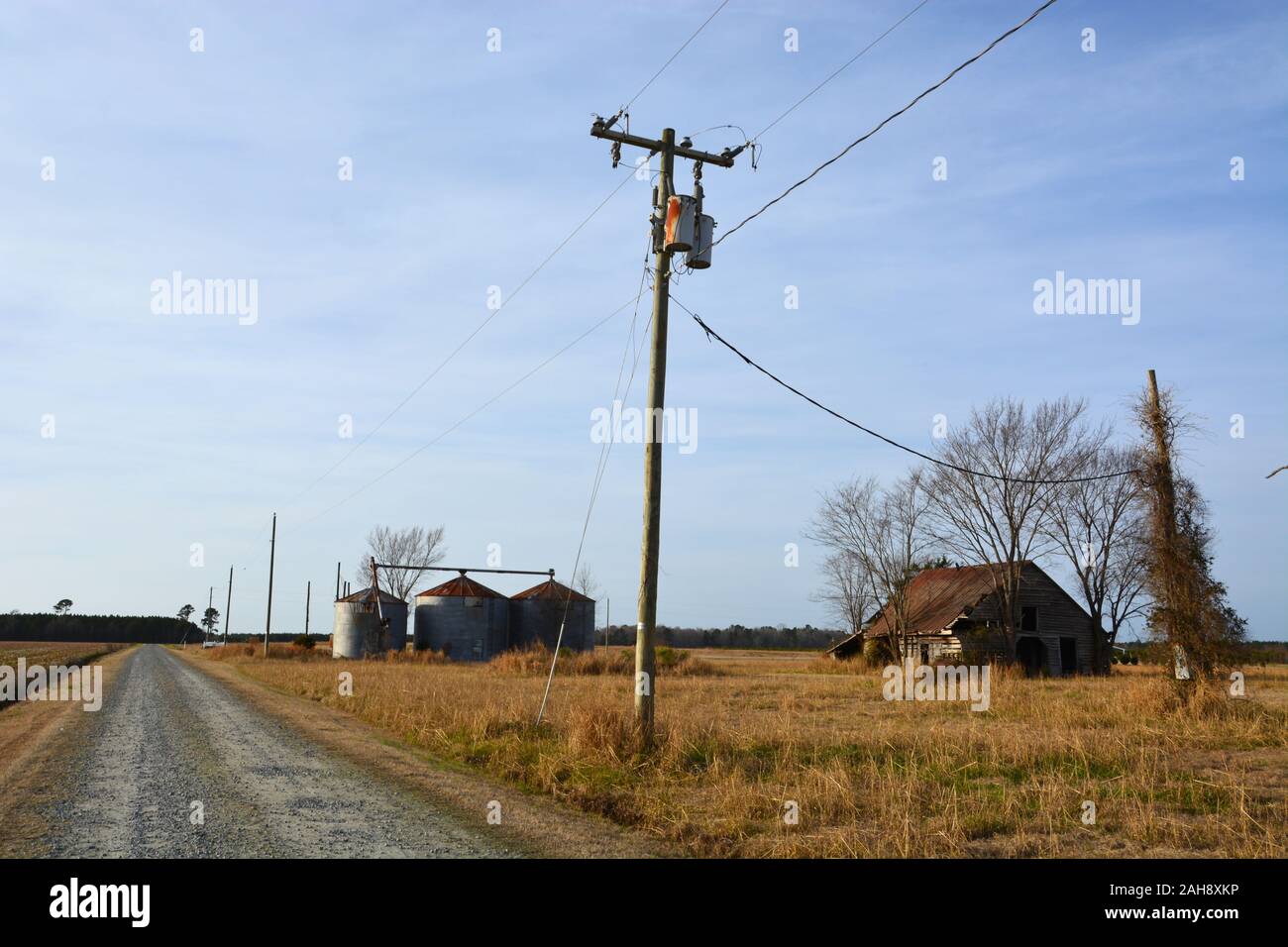 Un fienile decrepito e silos circondato da erba secca durante i mesi invernali al di fuori delle zone rurali Hertford North Carolina. Foto Stock