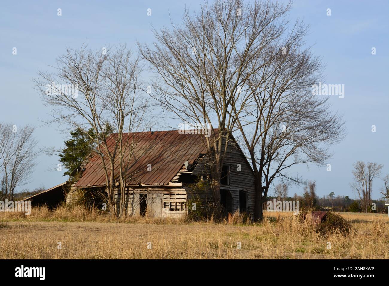 Un decrepito fienile circondato da erba secca durante i mesi invernali al di fuori delle zone rurali Hertford North Carolina. Foto Stock