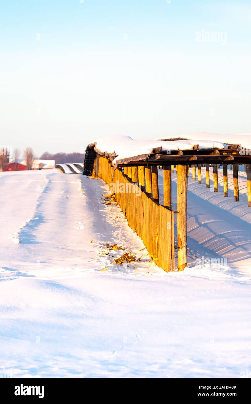 Fattoria in inverno con lunghi filari di ginseng ombra in verticale nel Wisconsin Foto Stock