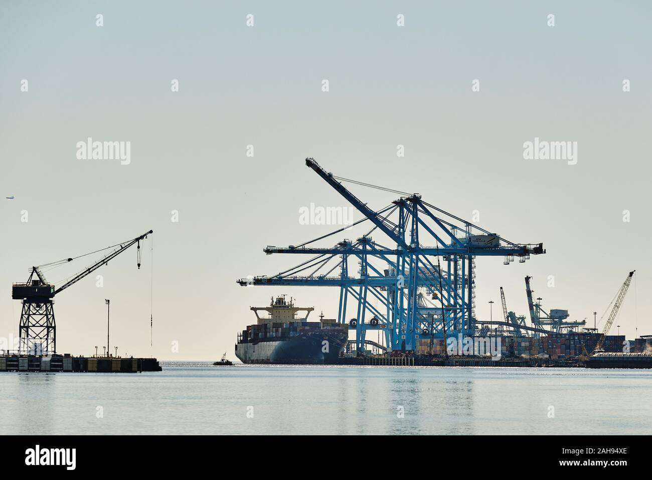 Cantiere banchine per le navi portacontainer di grandi gru per il carico e lo scarico di una nave portacontainer nel porto di Mobile in Alabama, Stati Uniti d'America. Foto Stock