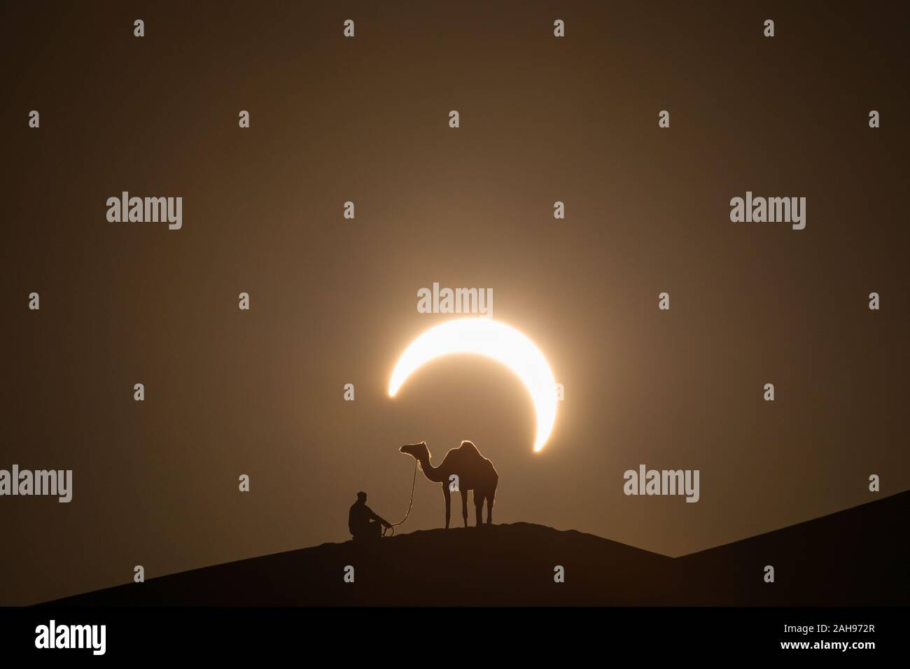 Anulare eclissi solare nel deserto con la silhouette di un cammello dromedario. Liwa desert, Abu Dhabi Emirati Arabi Uniti. Foto Stock