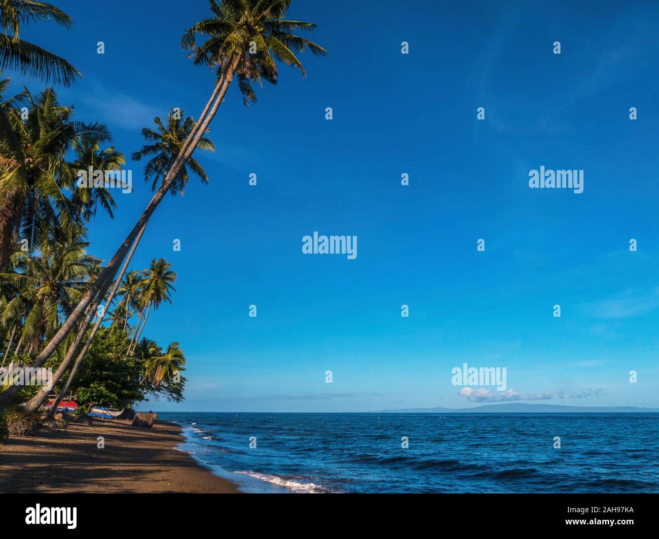 Un marrone sabbia spiaggia e la calma del mare su un isola tropicale nelle Filippine, con alte palme di cocco e un vivid blue sky. Foto Stock