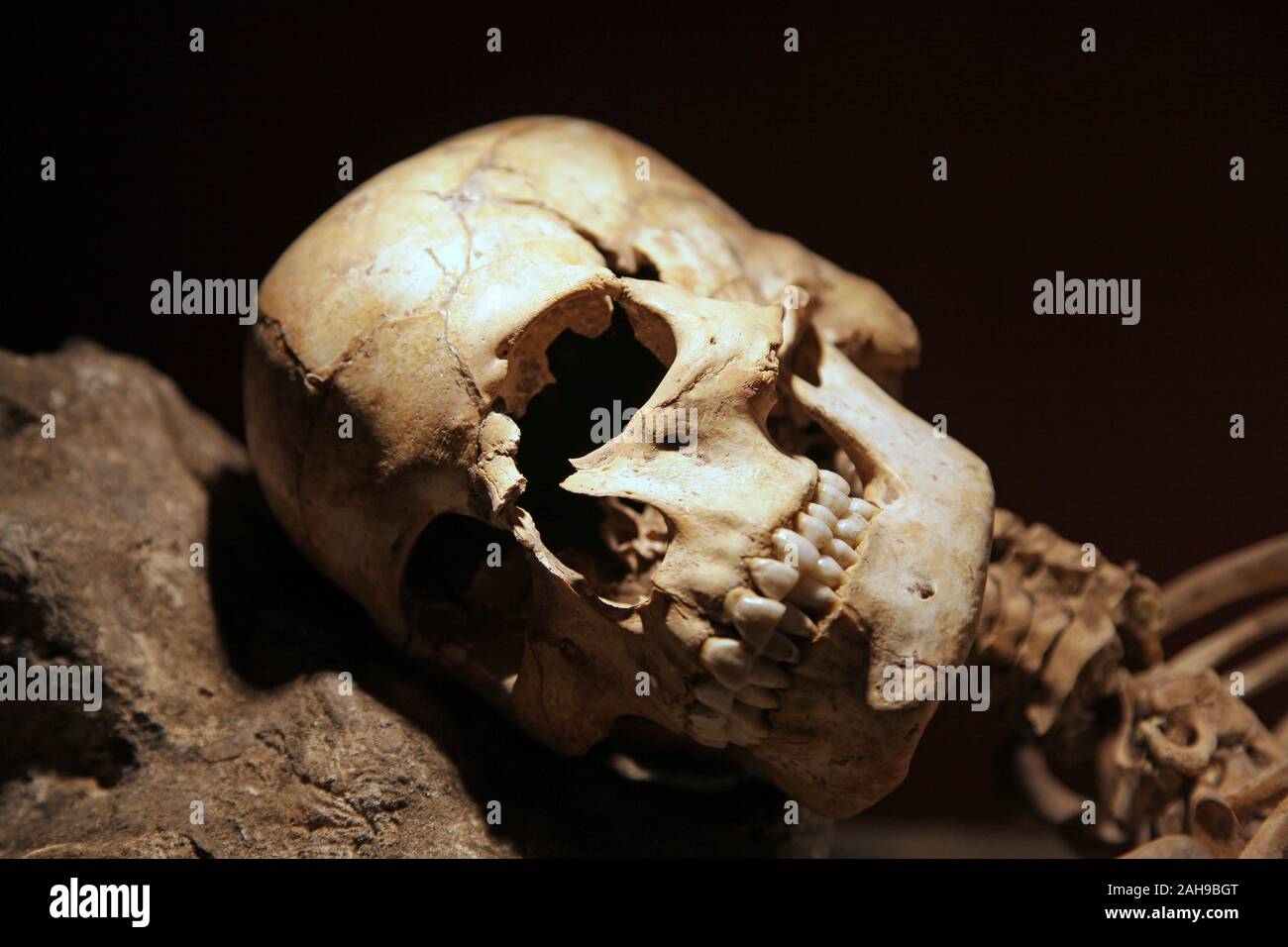 Rimane antropologica da th grotta di Nerja.a Nerja a Sud di Spagna Andalusia.Provincia di Malaga.Homo Sapiens moderno cranio cranio umano Foto Stock