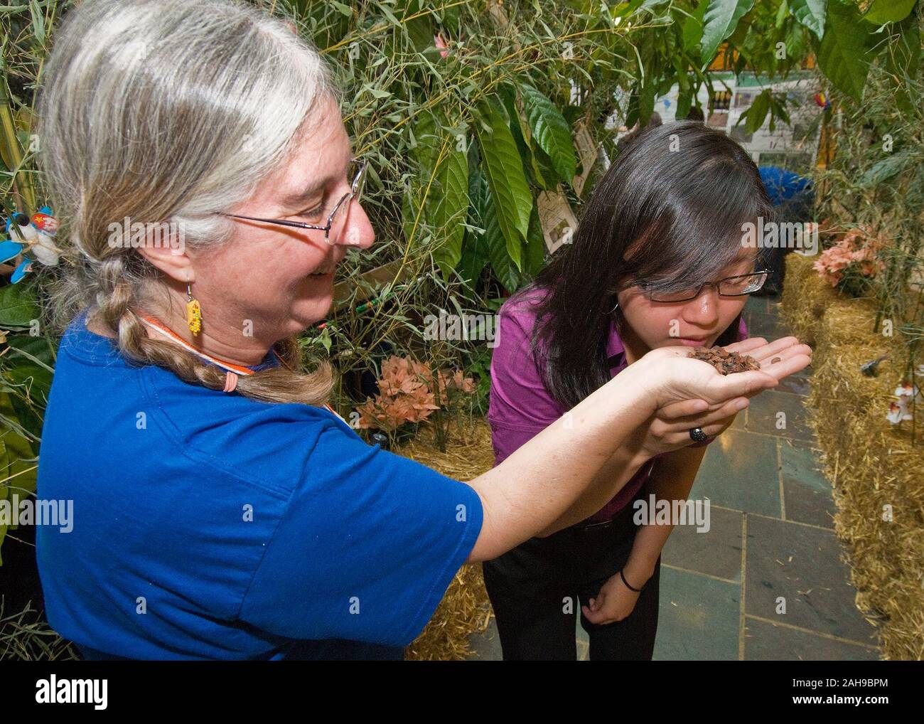 Maria Strem (sinistra), supporto scienziato e sostenibile di coltura perenne laboratorio, servizio di Ricerca Agricolo consente Esther Lin (destra), ufficio del segretariato esecutivo odore di cacao aroma del cacao in gusci di cimici del letto...cioccolato...e al di là di evento presso il Reparto di Stati Uniti dell'agricoltura, lunedì 4 ottobre. Foto Stock