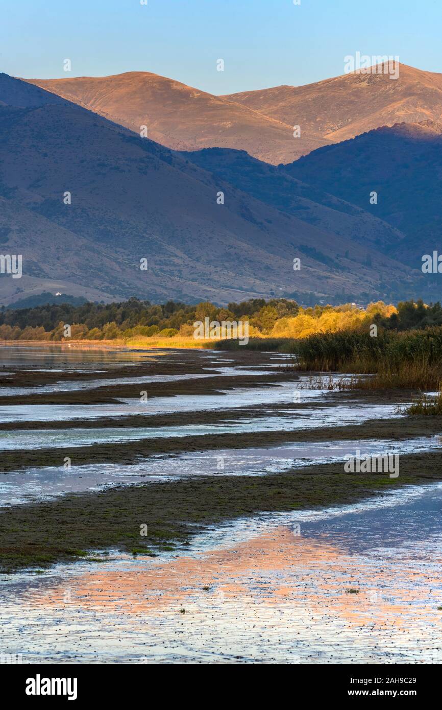Luce della Sera attraverso il fango appartamenti su di te a riva del lago Prespa vicino al villaggio di Lemos, in Macedonia, Grecia settentrionale. Foto Stock