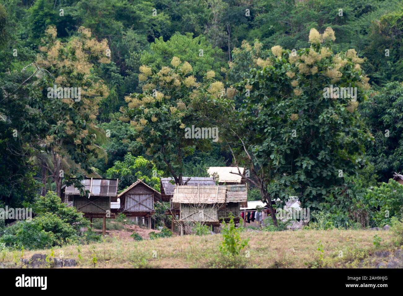 Villaggio sulla collina sopra il fiume Mekong, tra Huay Xai e Pak Beng, Laos Foto Stock