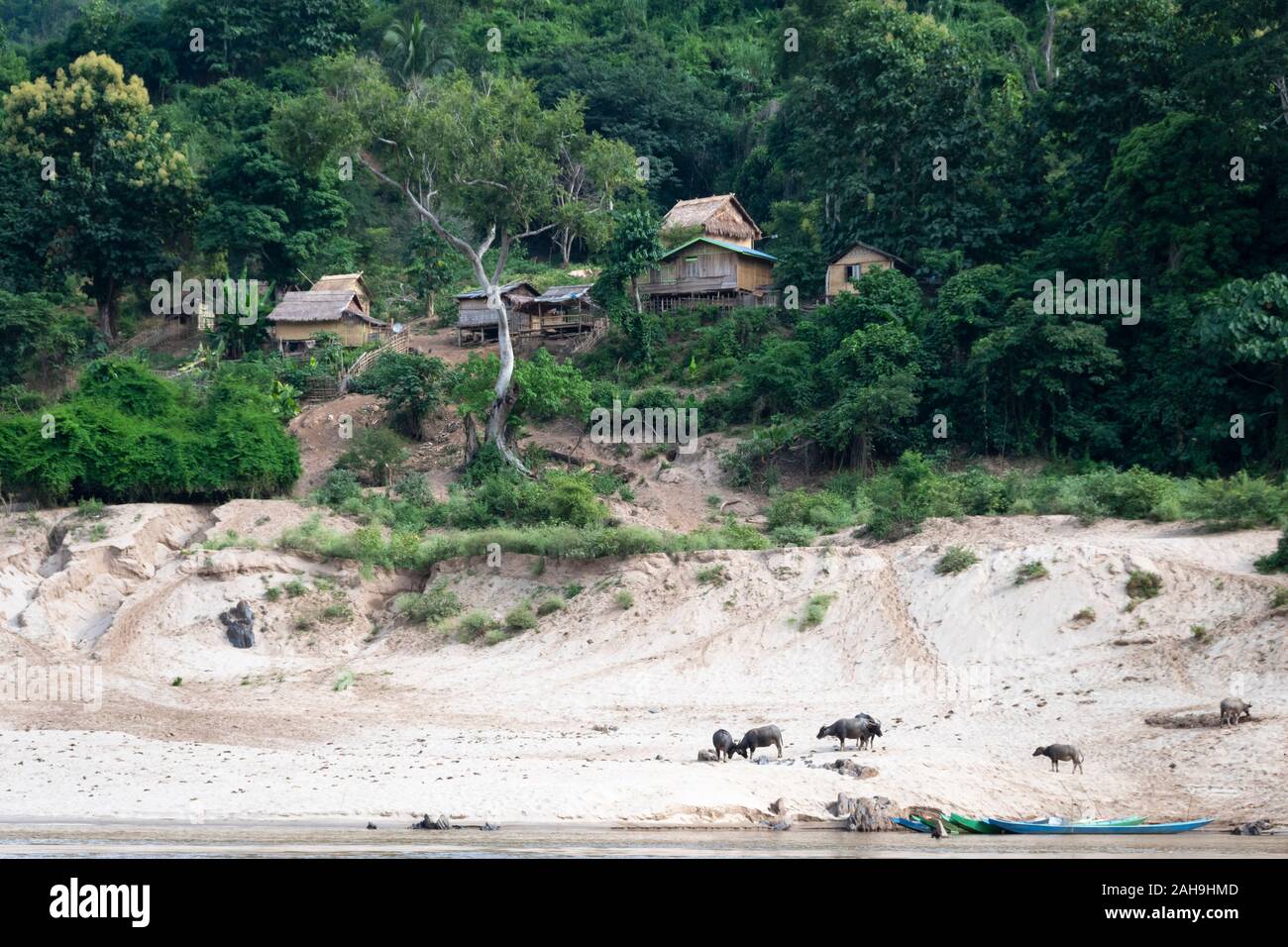 Villaggio sulla collina sopra il fiume Mekong, tra Huay Xai e Pak Beng, Laos Foto Stock