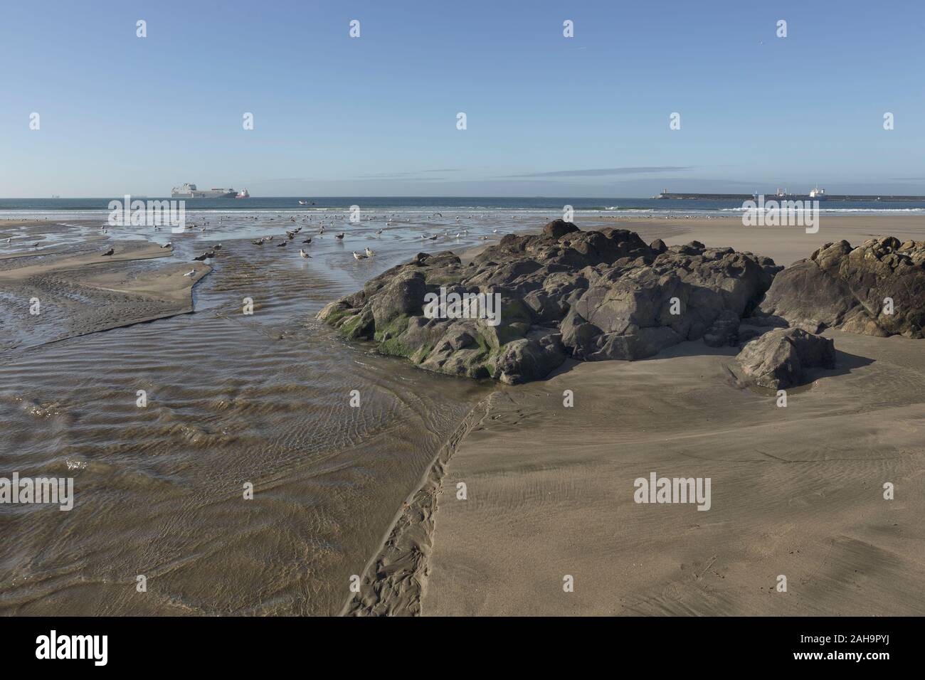 Spiaggia vuota durante la bassa marea. Spiaggia di Matosinhos vedendo Leixoes porto entrata. Foto Stock