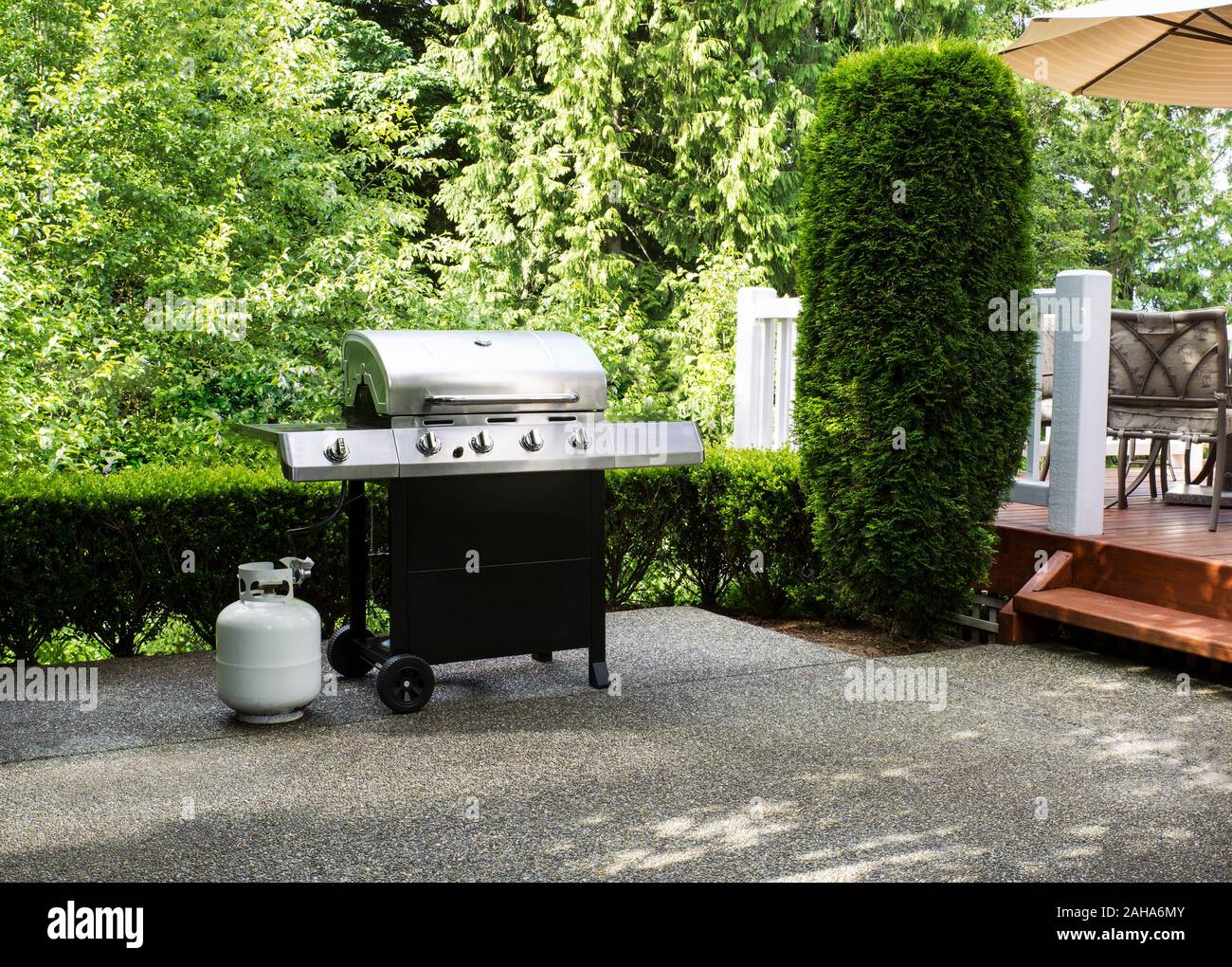 Fornello Barbeque sul cemento patio con boschi e home deck in background Foto Stock