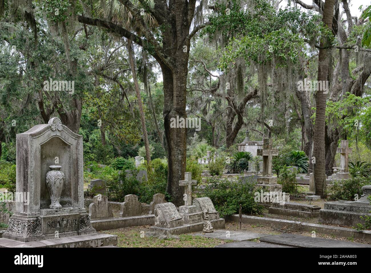 Cimitero,tombe,grave,lapide,lapidi,cimiteri,sito storico,Live Oaks,Quercus virginiana,muschio Spagnolo,Tilandsia useneoides,moss-hung oaks,s Foto Stock