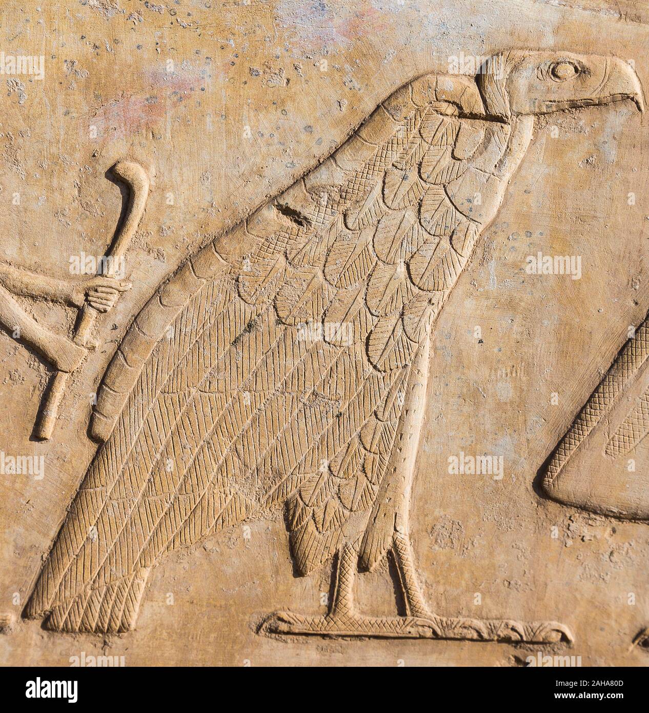 Tebe in Egitto, Tempio di Karnak, museo all'aria aperta, un rilievo raffigurante i nomi di un re. Il serpente e il vulture simboleggiano 2 dee d'Egitto. Foto Stock