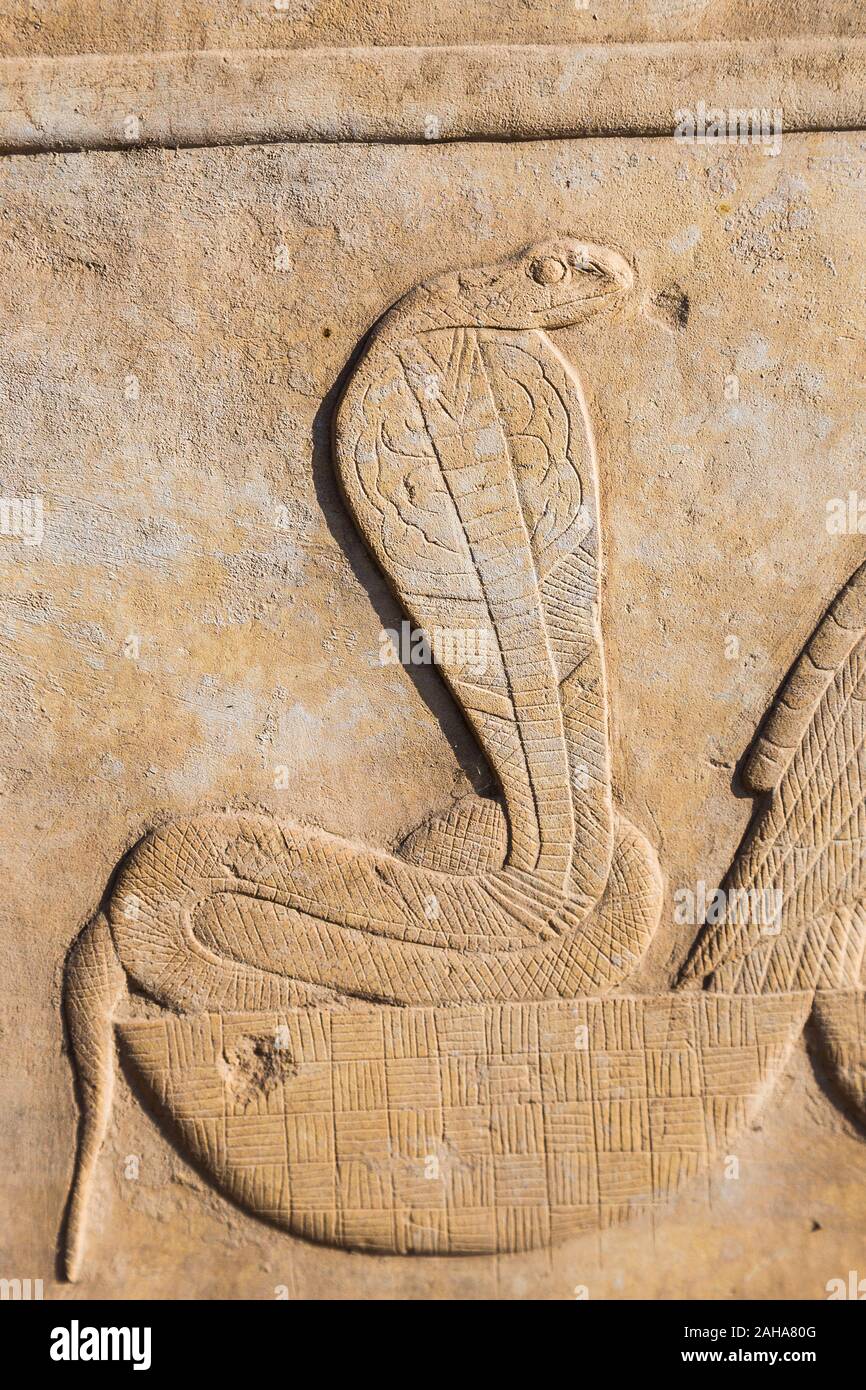 Tebe in Egitto, Tempio di Karnak, museo all'aria aperta, un rilievo raffigurante i nomi di un re. Il serpente e il vulture simboleggiano 2 dee d'Egitto. Foto Stock