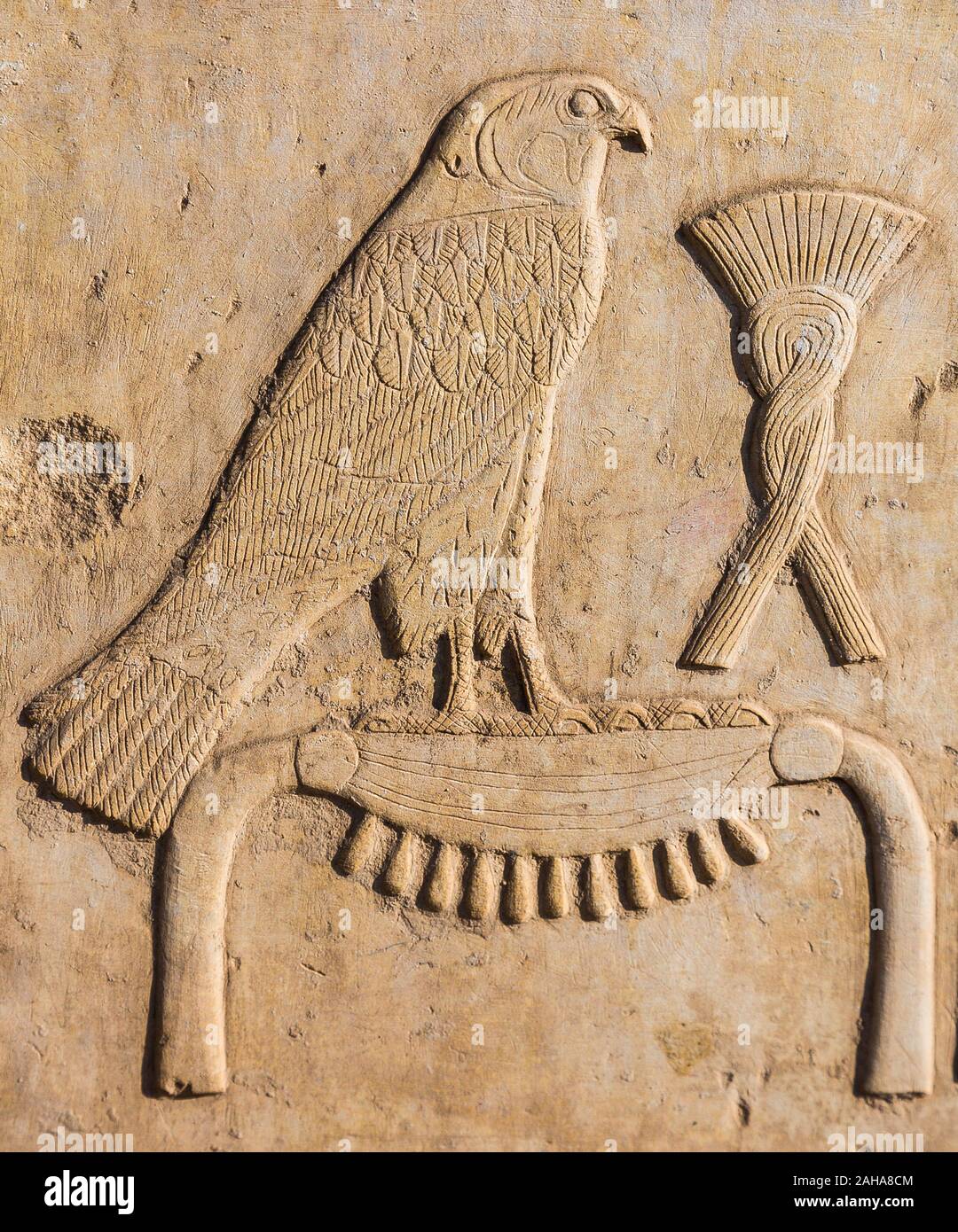 Patrimonio Mondiale dell'UNESCO, Tebe in Egitto, Tempio di Karnak, museo all'aria aperta, un rilievo raffigurante i nomi di un re. Il falco simboleggia il dio Horus. Il suo Foto Stock