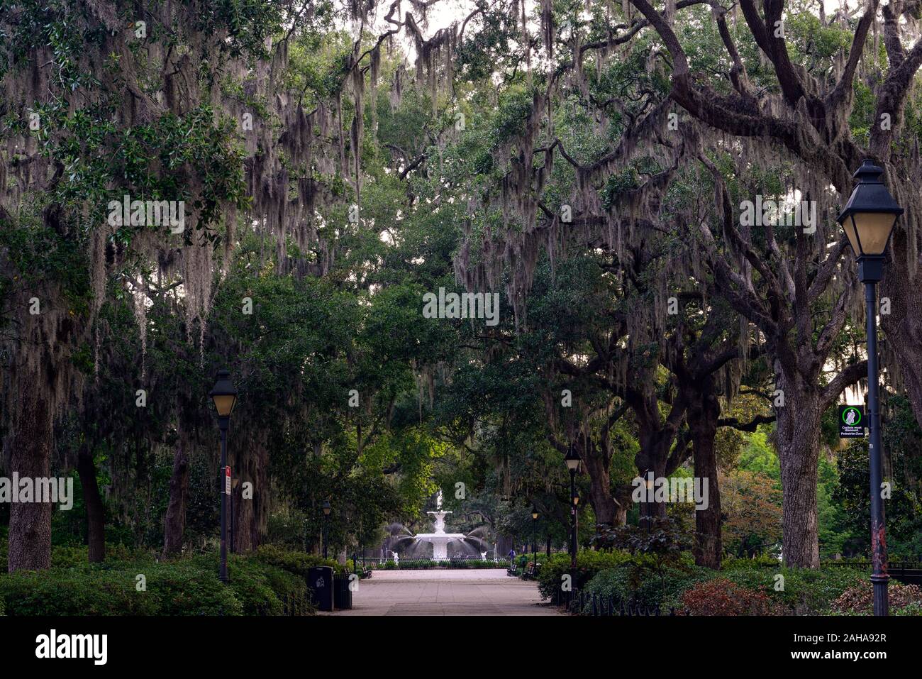 Forsyth park,Fontana di Savannah, Georgia, STATI UNITI D'AMERICA,parchi pubblici,d'acqua,funzioni,ghisa fontana,moss-hung oaks,parco,RM USA Foto Stock