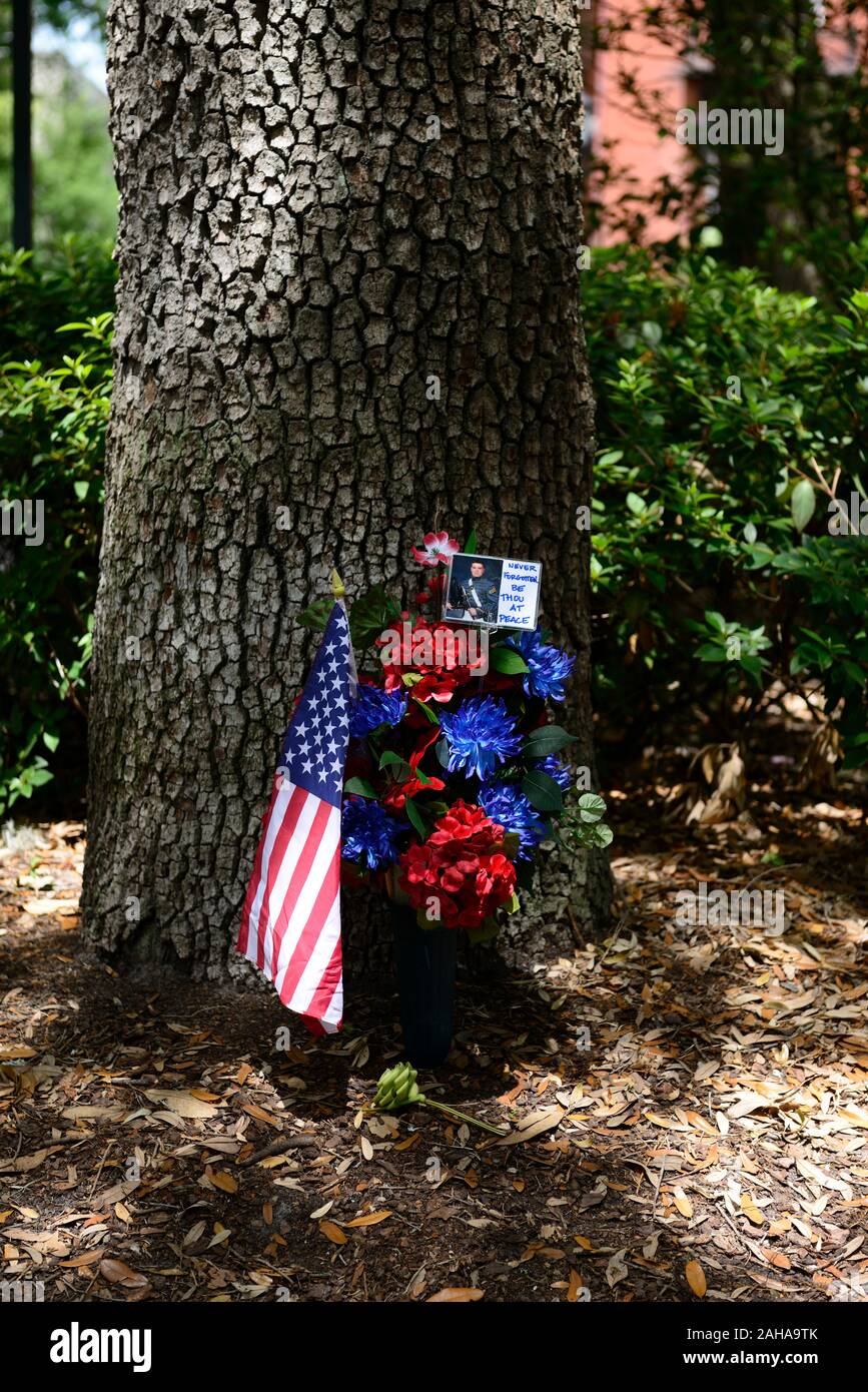 Memorial week-end,fiori e bandiera a stelle e strisce,ucciso in azione,combattimento,truppa,truppe,tree, alberi di memoria,ricordare,l'onore,l'onore,morti,eroi caduti, Foto Stock