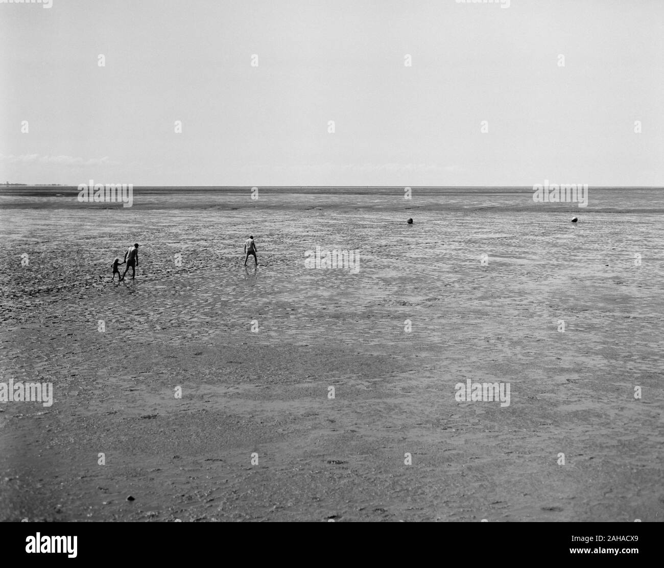 22.08.2018, San Pietro Ording, Schleswig-Holstein, Germania - i turisti nel fango appartamenti presso la costa vicino alla Basilica di San Pietro Ording. 00P180822D526CAROEX.JPG [MOD Foto Stock