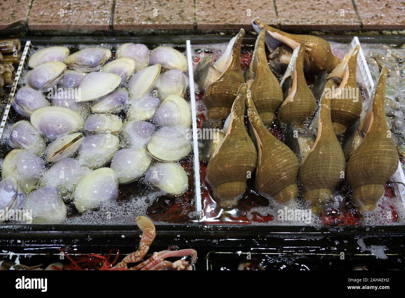 09.12.2017, Hong Kong, Hong Kong, Cina - Conchiglie e lumache in bacini di acqua al mercato del pesce in Lei Yue Mun. 00S171209D161CAROEX.JPG [modello di rilascio: Foto Stock