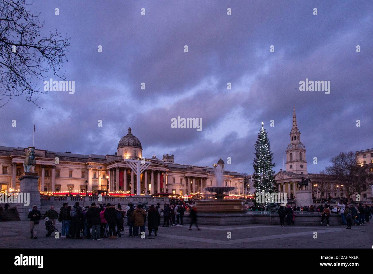 Nel tardo pomeriggio appena prima di Natale in Trafalgar Square con il gigante norvegese di albero di Natale donati al Regno Unito ogni anno dalla Norvegia Foto Stock