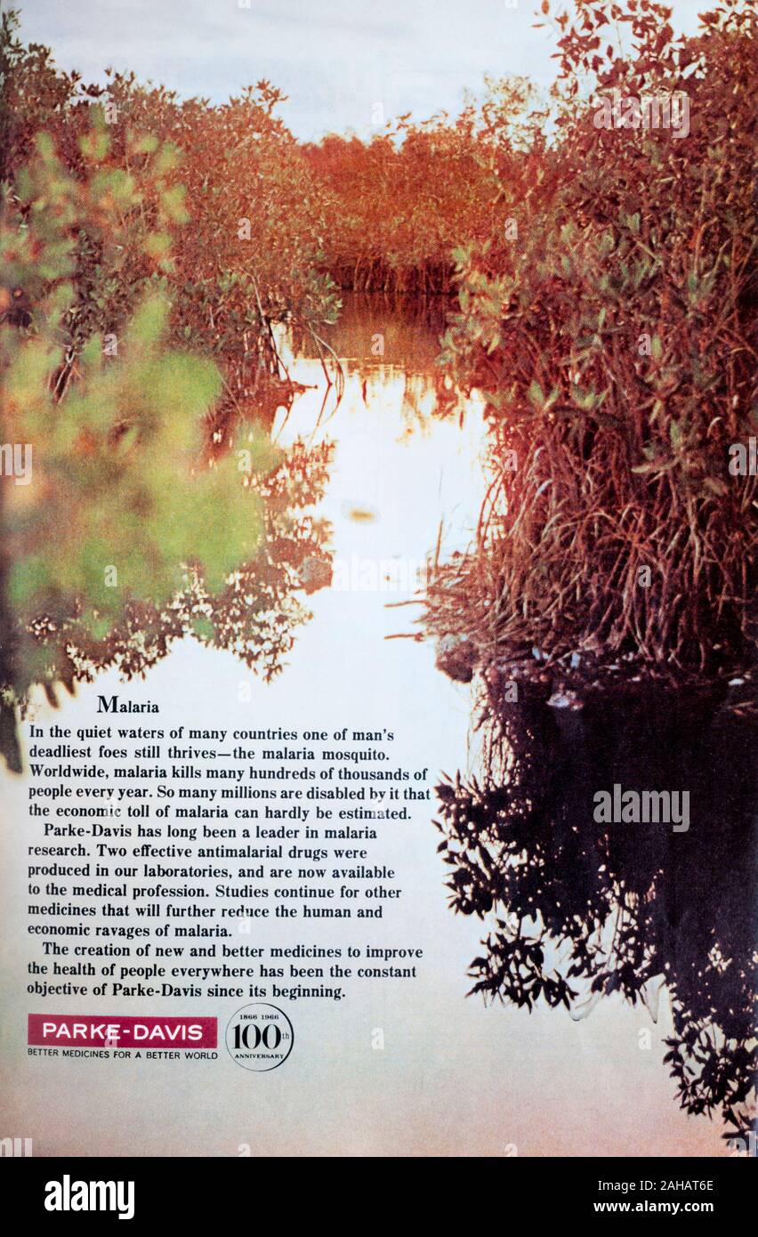 1966 magazine annuncio pubblicitario per Parke-Davis farmaco azienda. Ora parte di Pfizer. Foto Stock