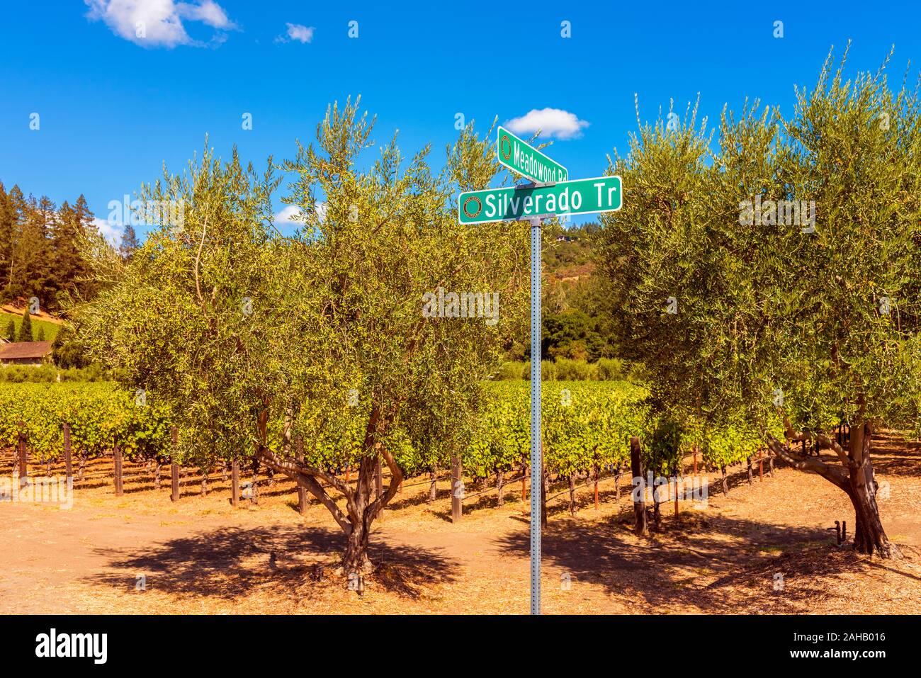 Silverado Trail cartello stradale nella Napa Valley, California, Stati Uniti d'America. È la strada principale lungo la quale molte cantine e vigneti nella Napa Valley si trova. Foto Stock
