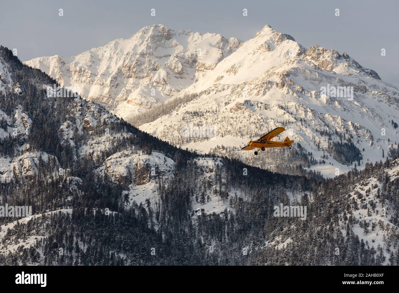 Biologi con il Parco Assistenza Studio Lupo Equipaggio di decollo in un Piper Super Cub aereo per eseguire un sondaggio dell'antenna del lupo confezioni presso il Parco Nazionale di Yellowstone a Yellowstone, Wyoming. Foto Stock