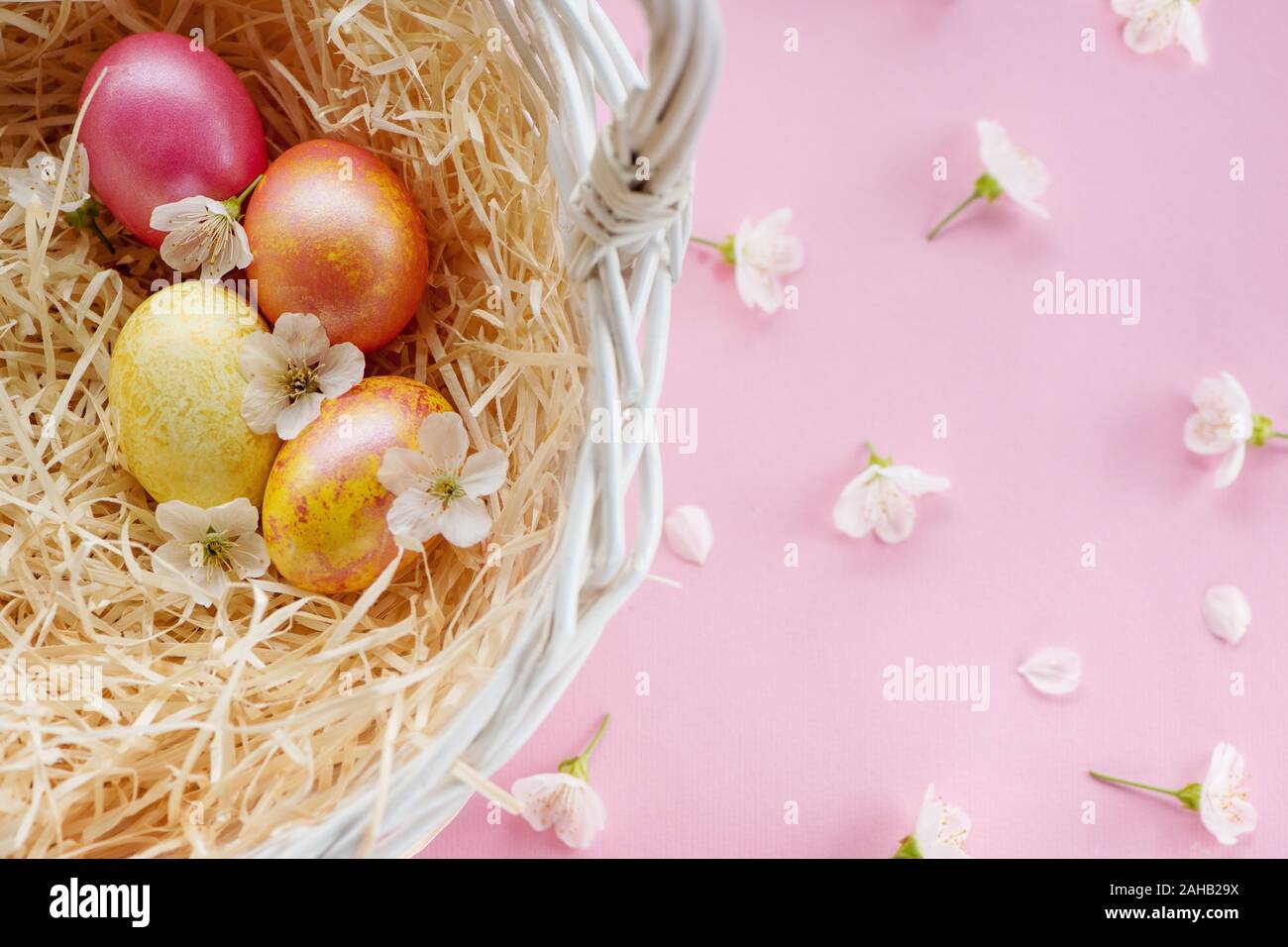 Bianco cesto di Pasqua con golden le uova di pasqua su sfondo rosa con fiori. Vista dall'alto. Foto Stock