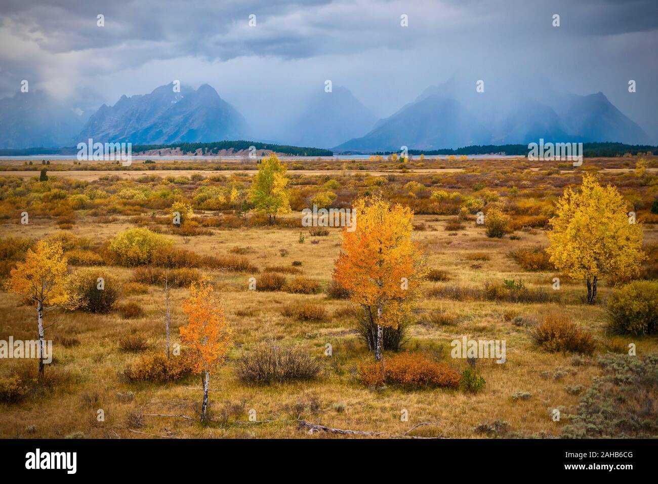 Nuvole temporalesche su montagne in Grand Teton National Park, mentre il colore di autunno diventa di Aspen e pioppi neri americani alberi golden sul sagebrush appartamenti. Foto Stock
