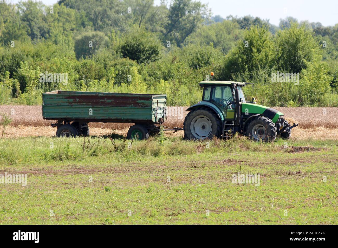 Verde e nero trattore agricolo con collegato arrugginita vintage vecchio trattore rimorchio sinistra in campo locale circondato da erba non tagliata e mature di frumento Foto Stock