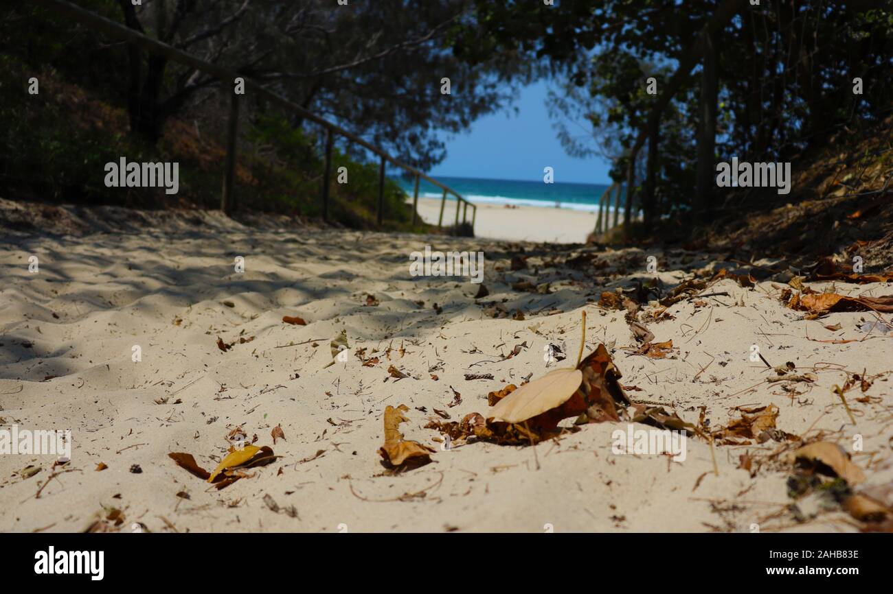 Spiaggia di sabbia la passerella Foto Stock