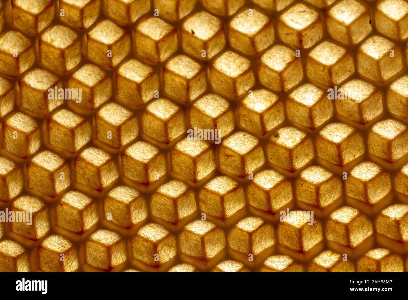 La consistenza della cera vuota favi costruiti dalle api, senza coinvolgimento umano Foto Stock