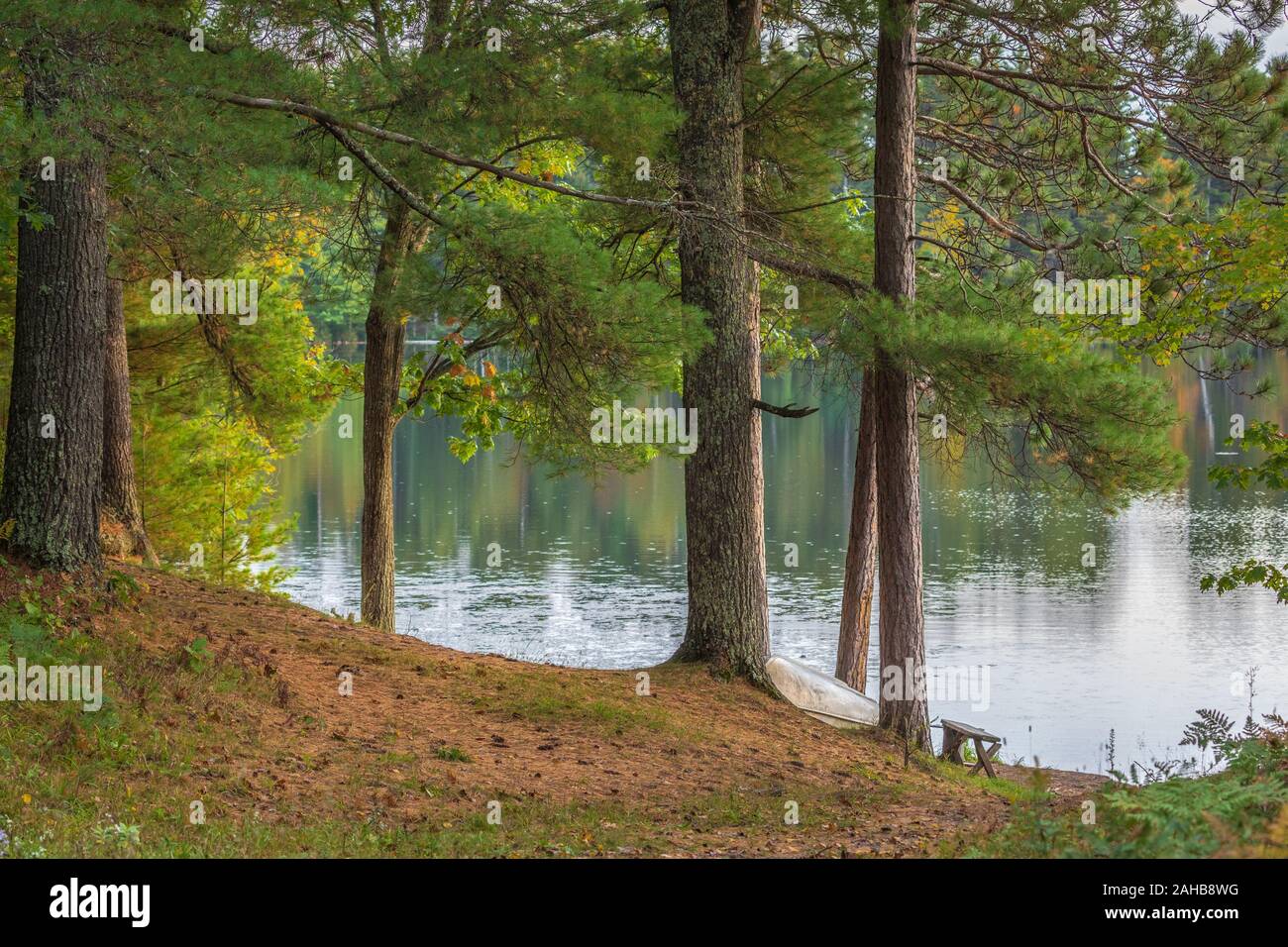 Un vecchio canotto poggia sulle rive del lago Bluegill in Wisconsin settentrionale. Foto Stock