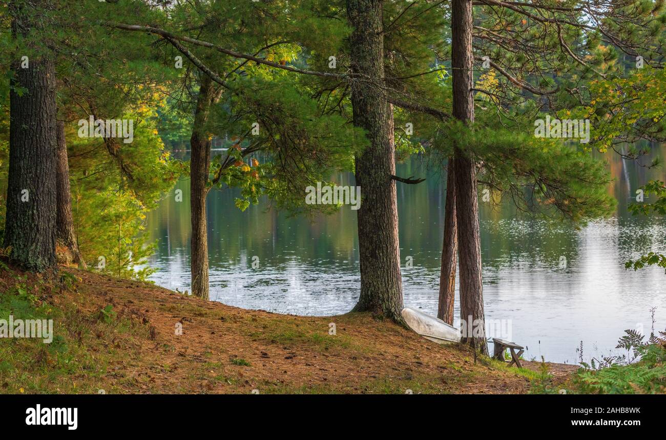 Un vecchio canotto poggia sulle rive del lago Bluegill in Wisconsin settentrionale. Foto Stock