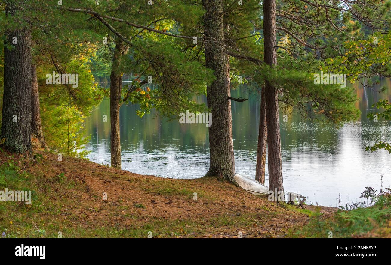 Un vecchio canotto poggia sulle rive del lago Bluegill in Wisconsin settentrionale. Foto Stock