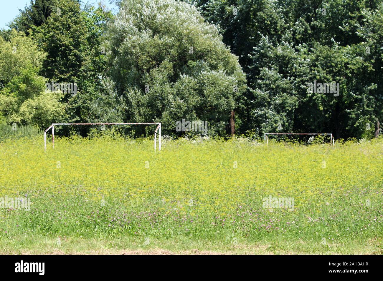 Due parzialmente arrugginita vecchio metallo bianco soccer football pali senza reti a sinistra su campo grande circondato da alte erba non tagliata Foto Stock