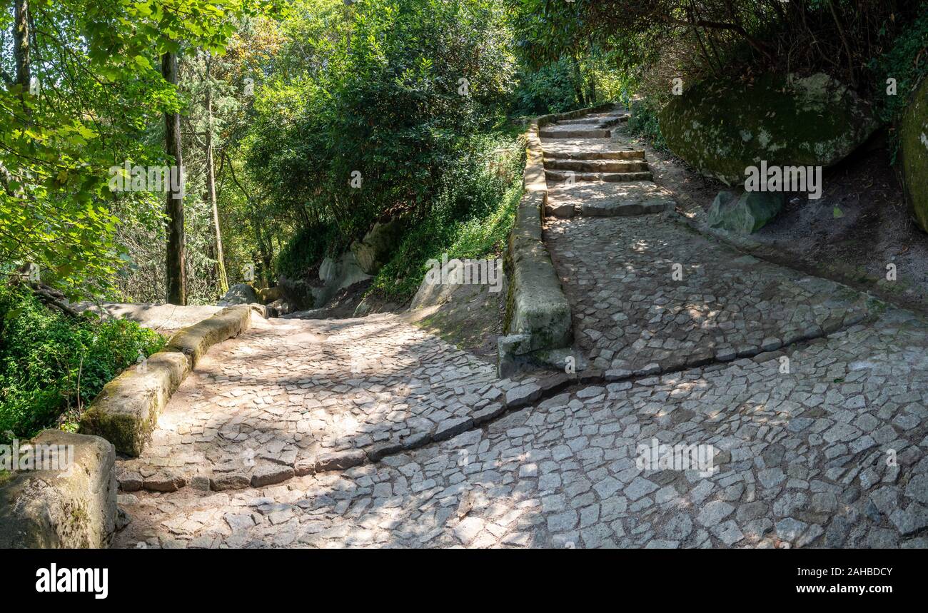 Una scelta di ripidi sentieri di pietra nei giardini al di sopra di Sintra in Portogallo Foto Stock