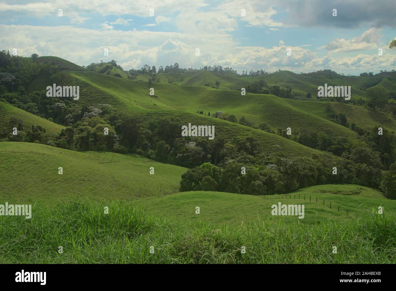 Lussureggiante paesaggio verde in la Caretera "caffè zona' Filandia, Colombia Foto Stock