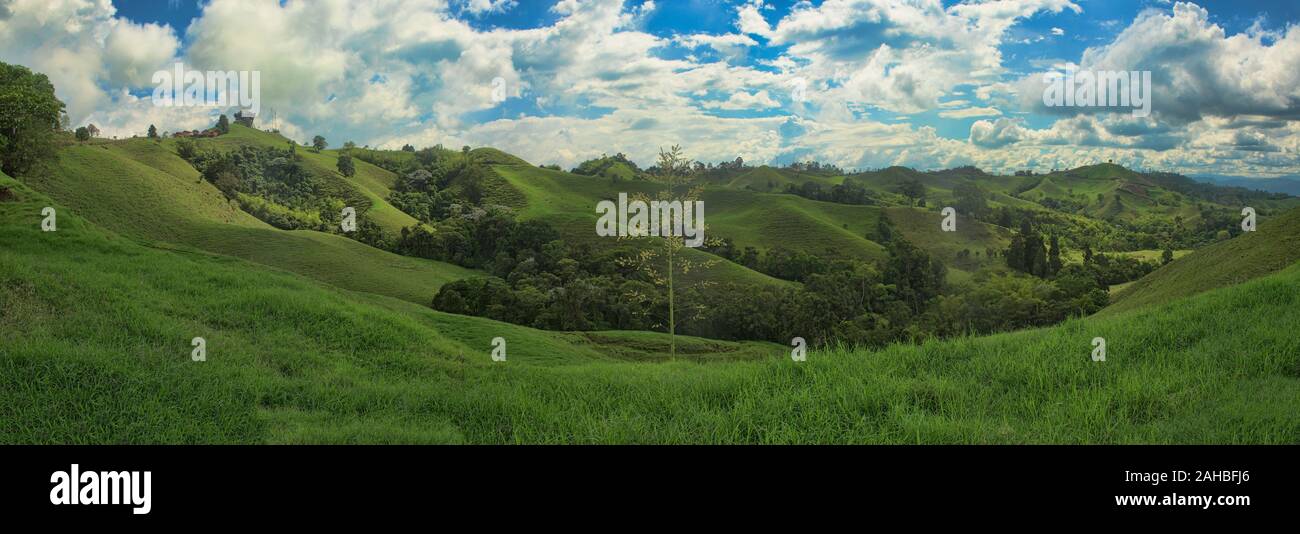 Lussureggiante paesaggio verde in la Caretera "caffè zona' Filandia, Colombia Foto Stock