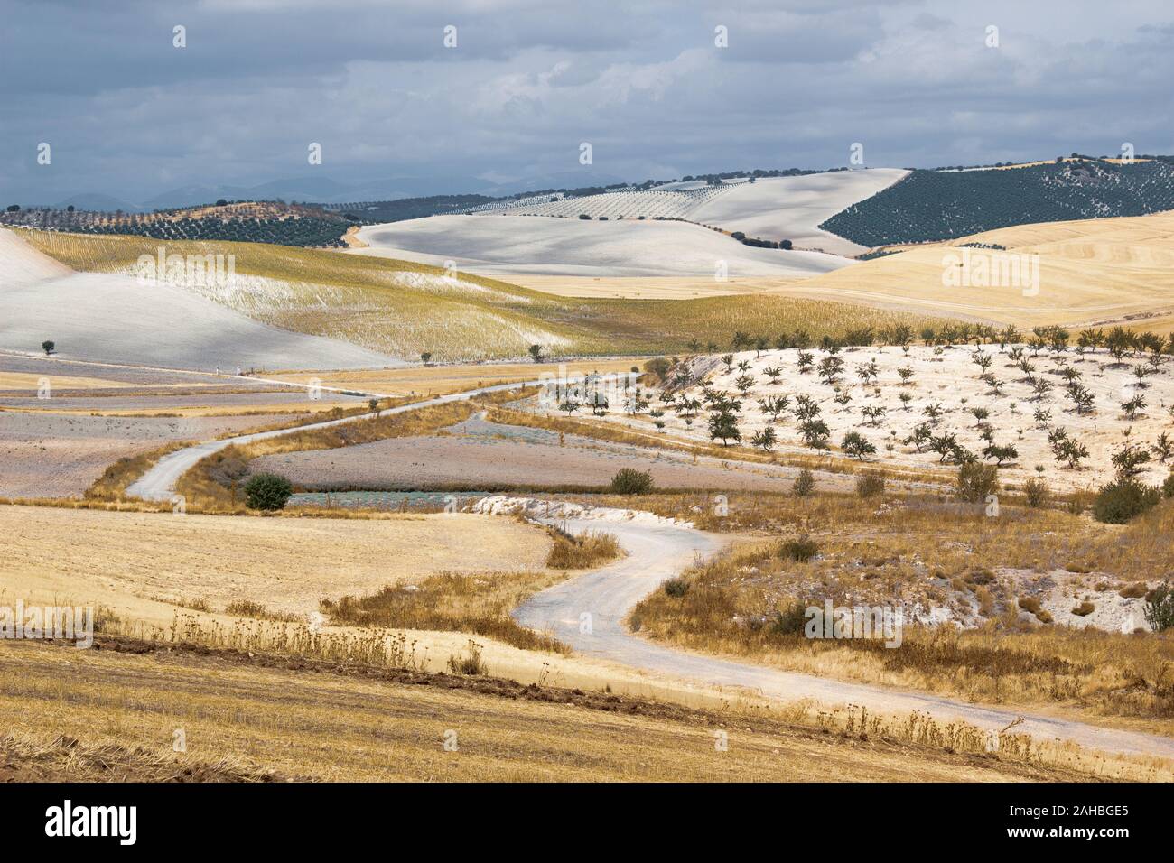 Paesaggio di campi in spagnolo altopiano centrale Foto Stock