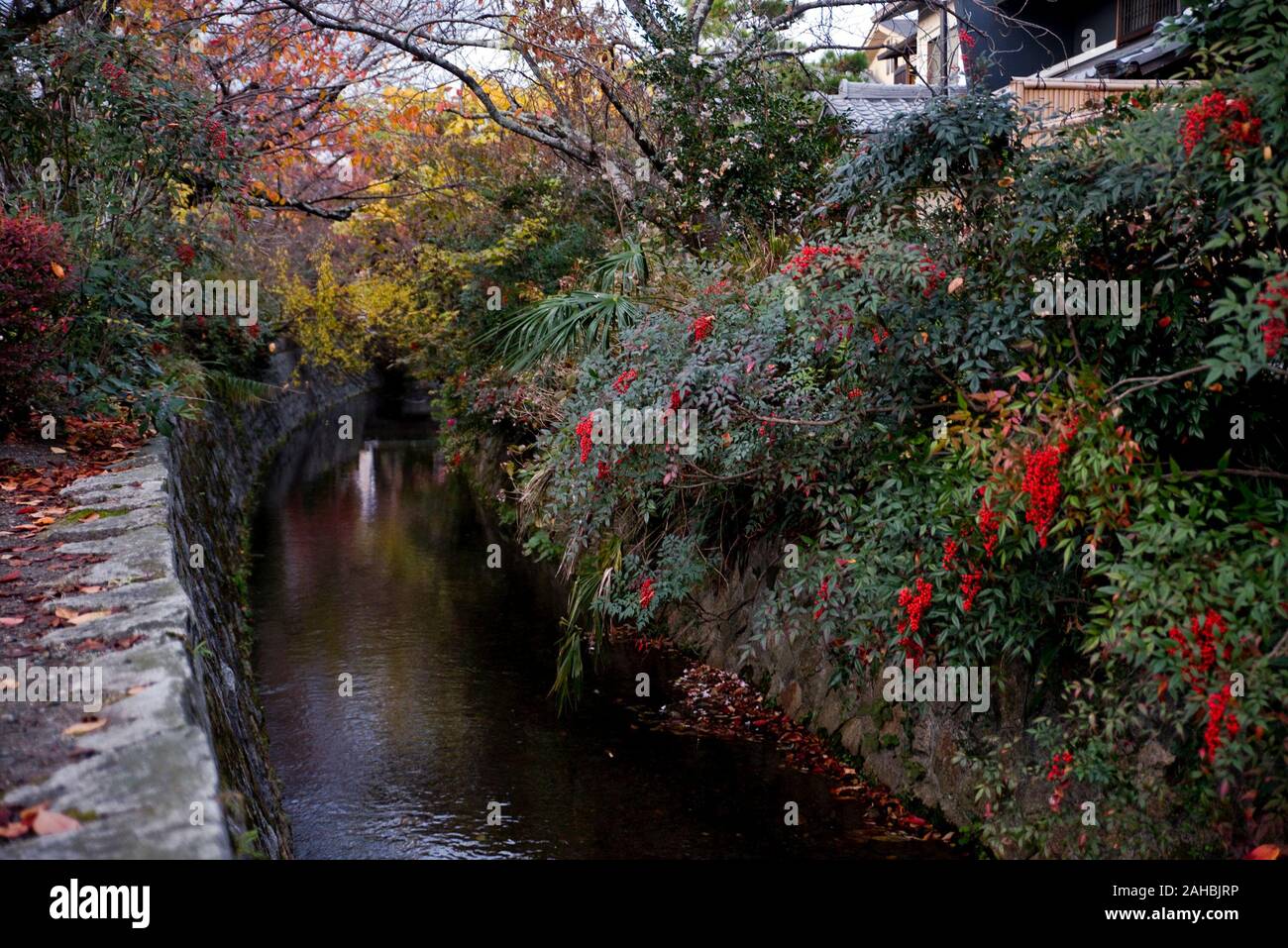 Del filosofo , Percorso di Kyoto, Giappone Foto Stock