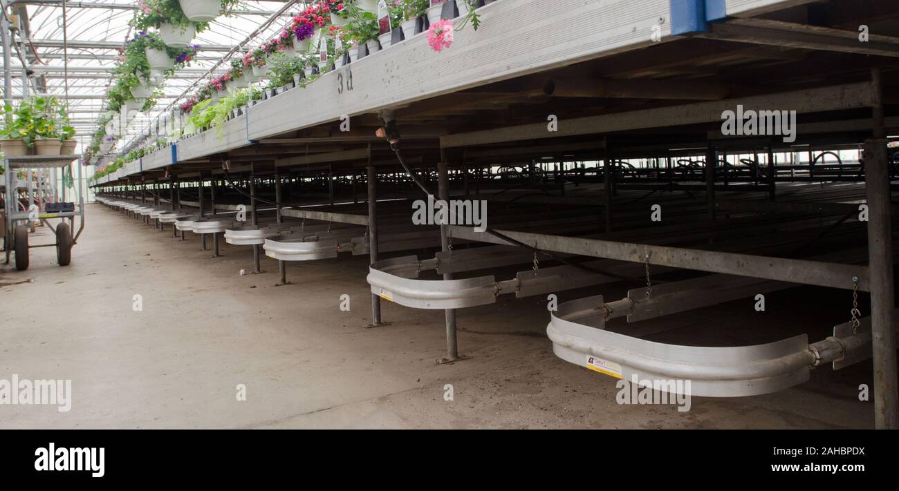 Riempito di acqua fin-Tubo elemento di riscaldamento sotto tavole vegetali a buon raccolto farm on April 19, 2011 a Strasburgo, PA è stata completata utilizzando una energia rurale per l'America programma (REAP) concedere per il rinnovo di sei mesi fa che si è sostituito un 80-anno vecchio struttura con un nuovo 4.000 mq. struttura che offre efficienza energetica del tetto in vetro con tende che bloccano o trappola calore, riscaldatori radianti in o sopra il pavimento e la sostituzione di un petrolio-sparò ad aria calda in forni con propano caldaie che la fornitura di fin-tubo e il cemento incorporato elementi di tubo con acqua calda. Con gli attuali prezzi del carburante, vi è un pr Foto Stock