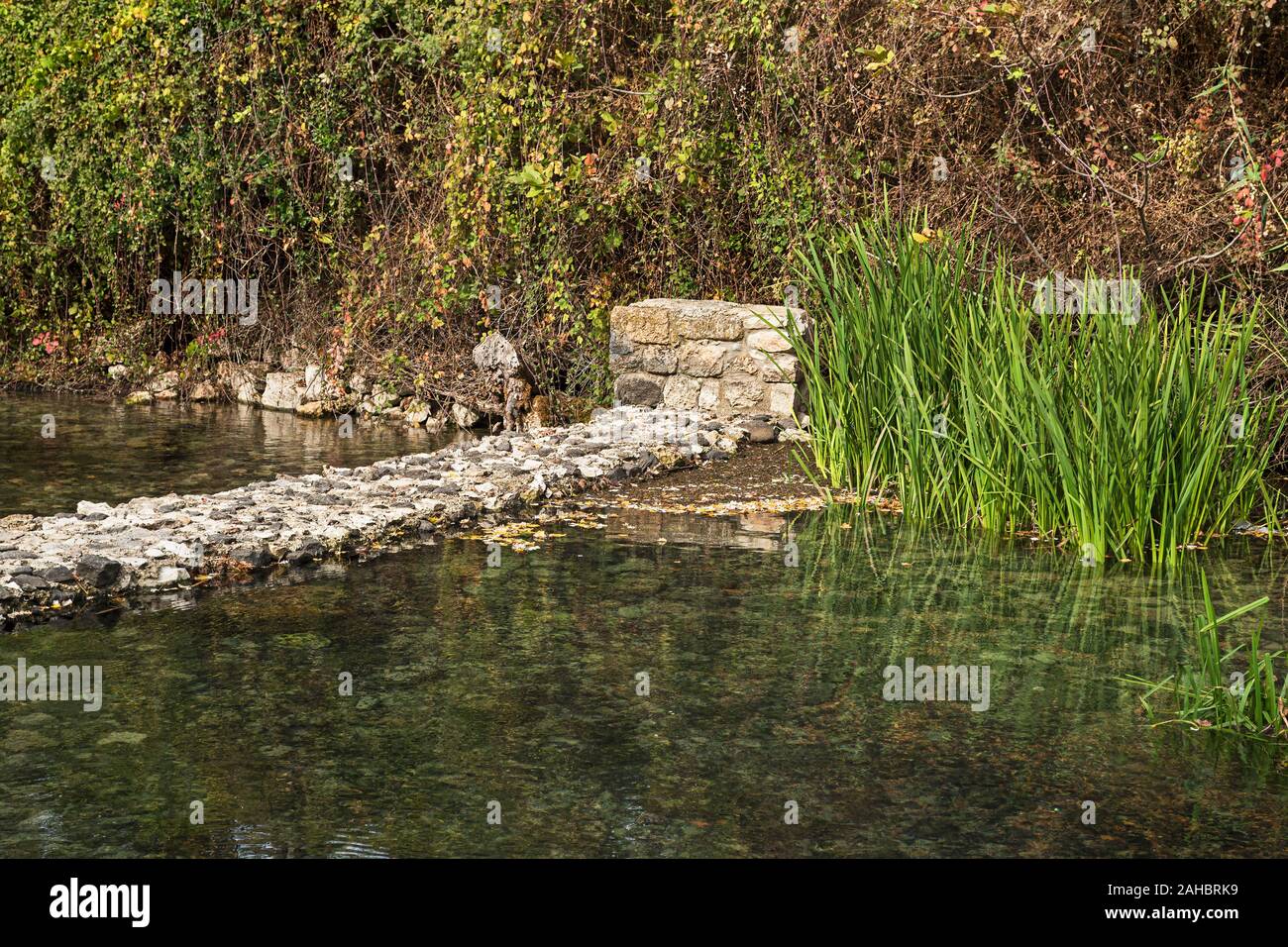 Antica diga formando una pozza in corrispondenza di banias hermon molle in Israele con pietre che mostrano attraverso il crystal clear spring acqua e vegetazione ripariale Foto Stock