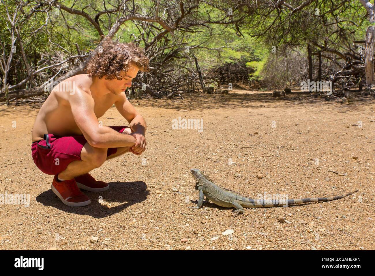 Giovane uomo seduto con iguana verde nella natura Foto Stock