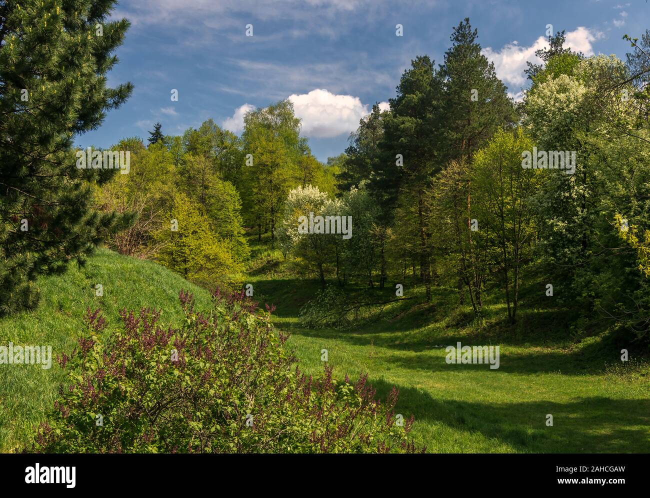 Scenario. Passeggiata nella natura. Piacevoli attività all'aperto. Foto Stock