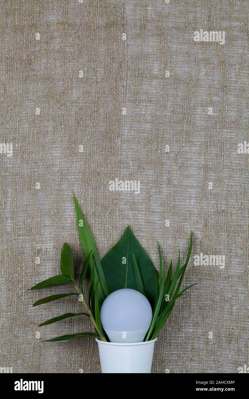 Pianta verde rami e lampadina della luce in eco friendly monouso, compostabile, riciclabili bicchiere di carta su un letto di sacco. vista superiore vicino fino a far fronte spazio laici piana. Foto Stock