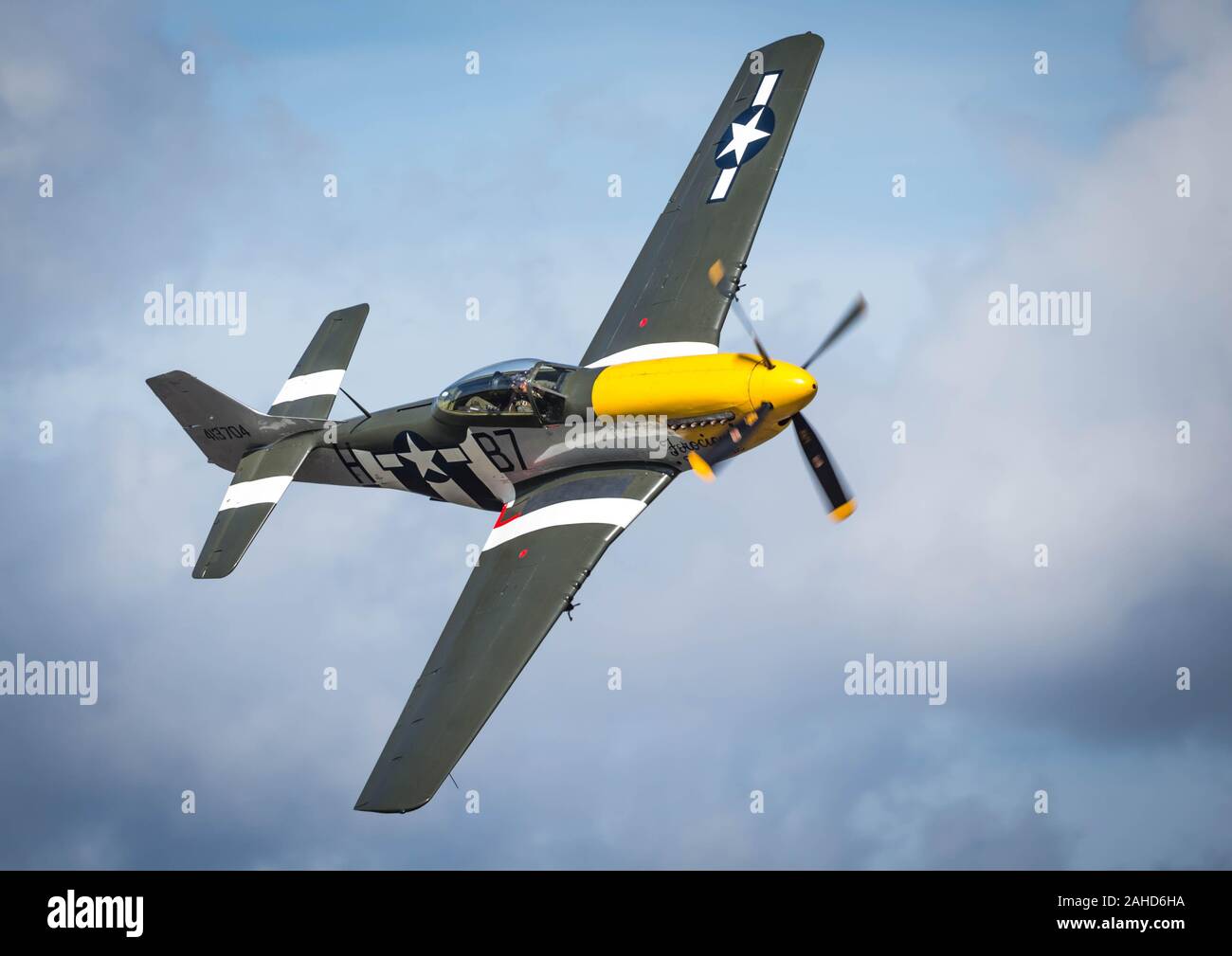 Il Mustang emette un forte grido durante un high-speed pass. Presumibilmente il sovralimentatore. Foto Stock
