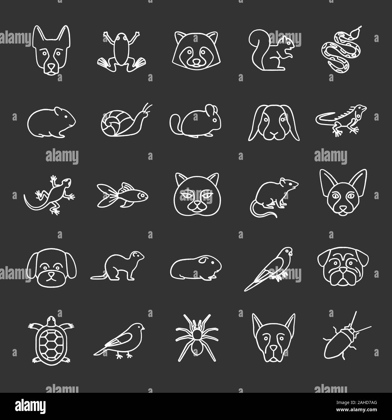 Animali domestici chalk set di icone. Animali esotici. Roditori, uccelli, rettili, insetti, cani e gatti. Vettore isolato illustrazioni della lavagna Illustrazione Vettoriale