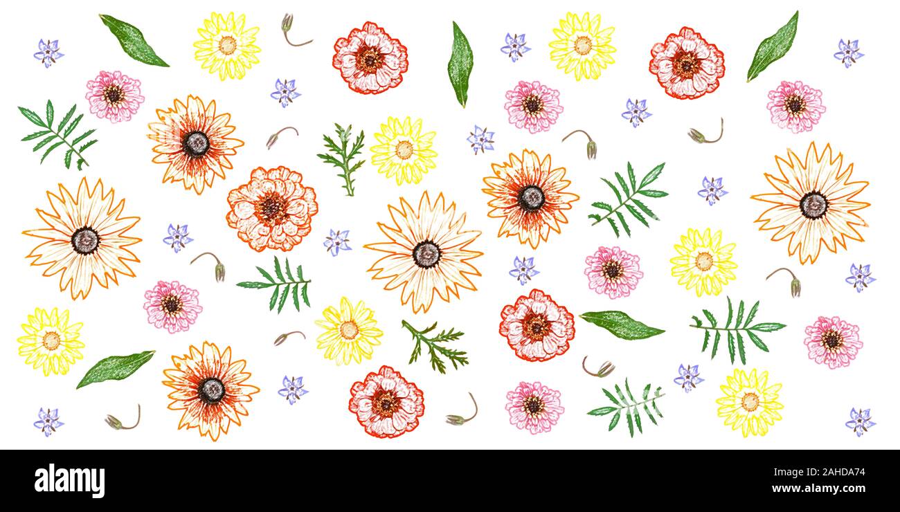 Arte digitale pittura - mix di coloratissimi fiori estivi e foglie verdi su sfondo bianco (matite colorate effetto) Foto Stock