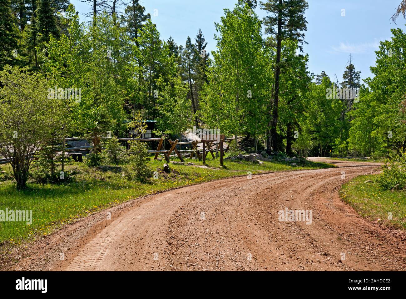 Nuovo Messico - strada forestale 70 voce nella Santa Fe National Forest e lasciando il secco, 'Badlands', e di entrare in un mondo di verde di boschi, Foto Stock